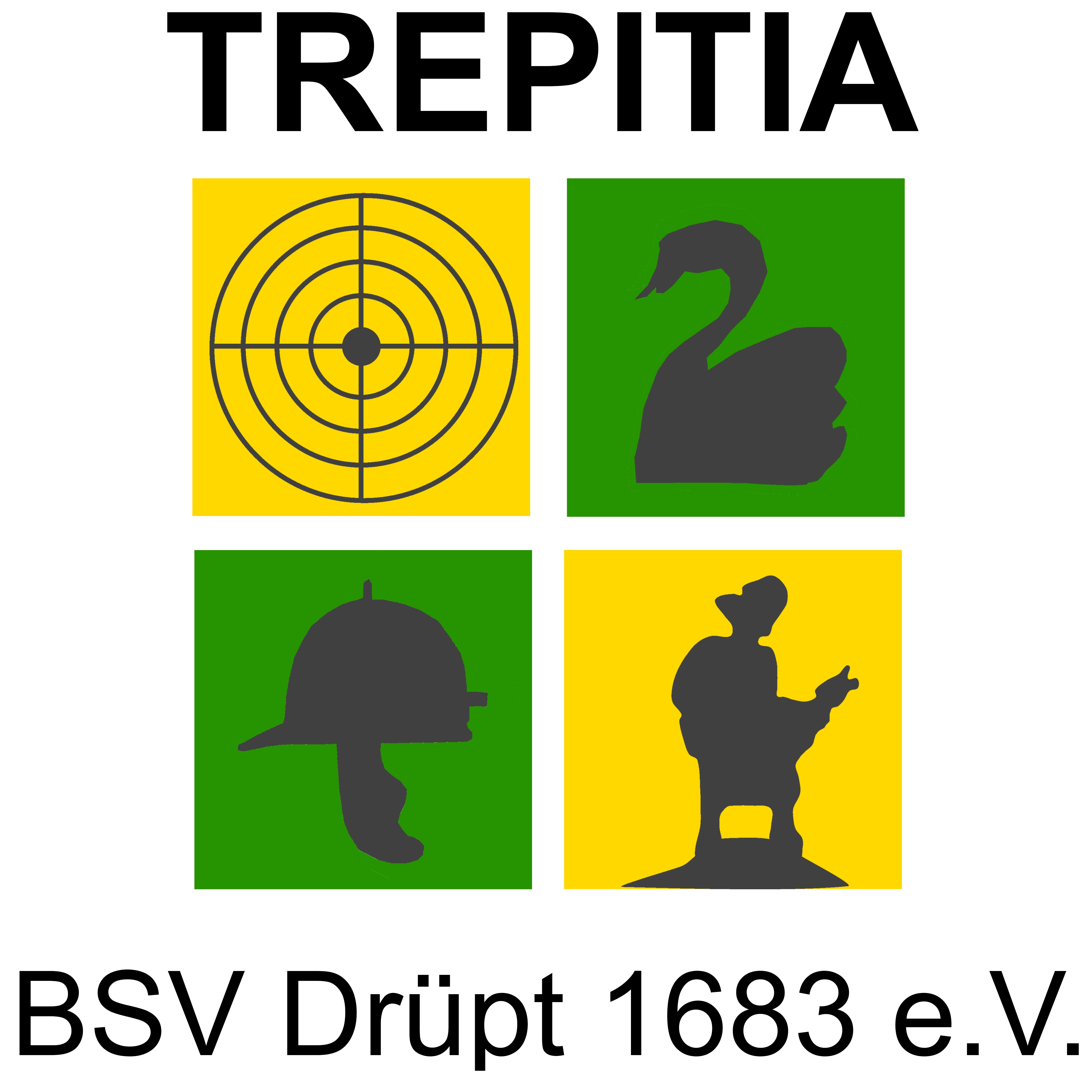 BSV Logo (mit Text, weißer Hintergrund)